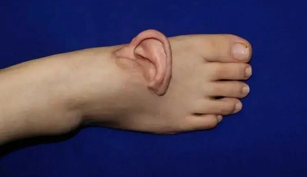 tai 1765040276 1765040358 2403 1765041359.jpg