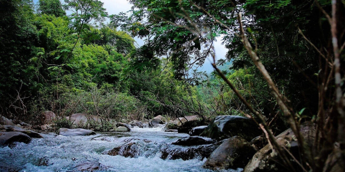 td 1764757209 1764757221 1896 1764757404.jpg