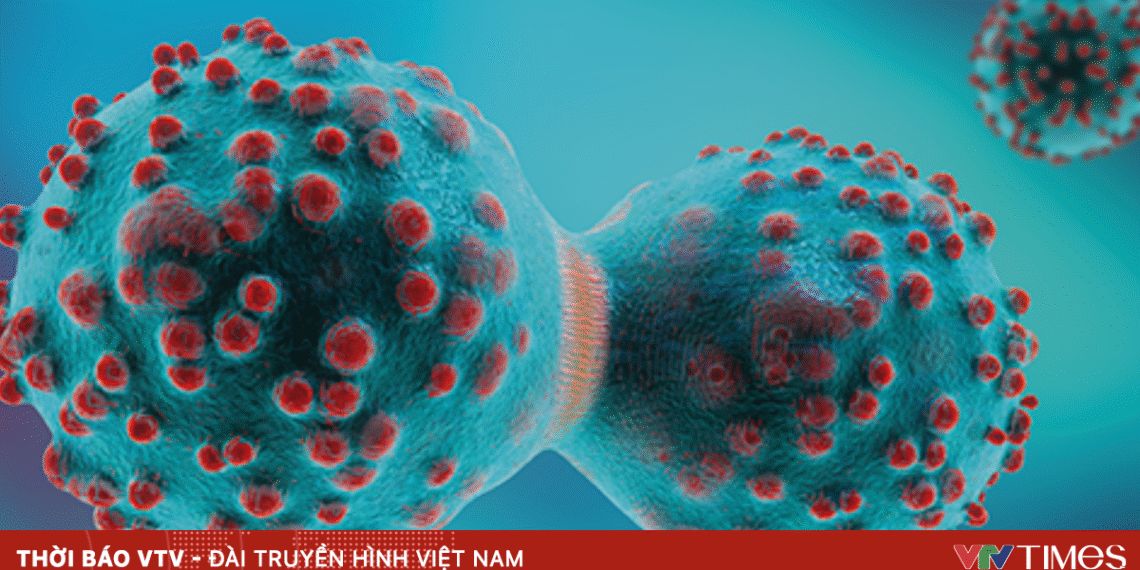 tebao 68657769351422185321919 85970017754928817988939.png