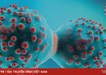 tebao 68657769351422185321919 85970017754928817988939.png