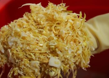 tixung26 1764930247 1764930262 3064 1764930268.jpg