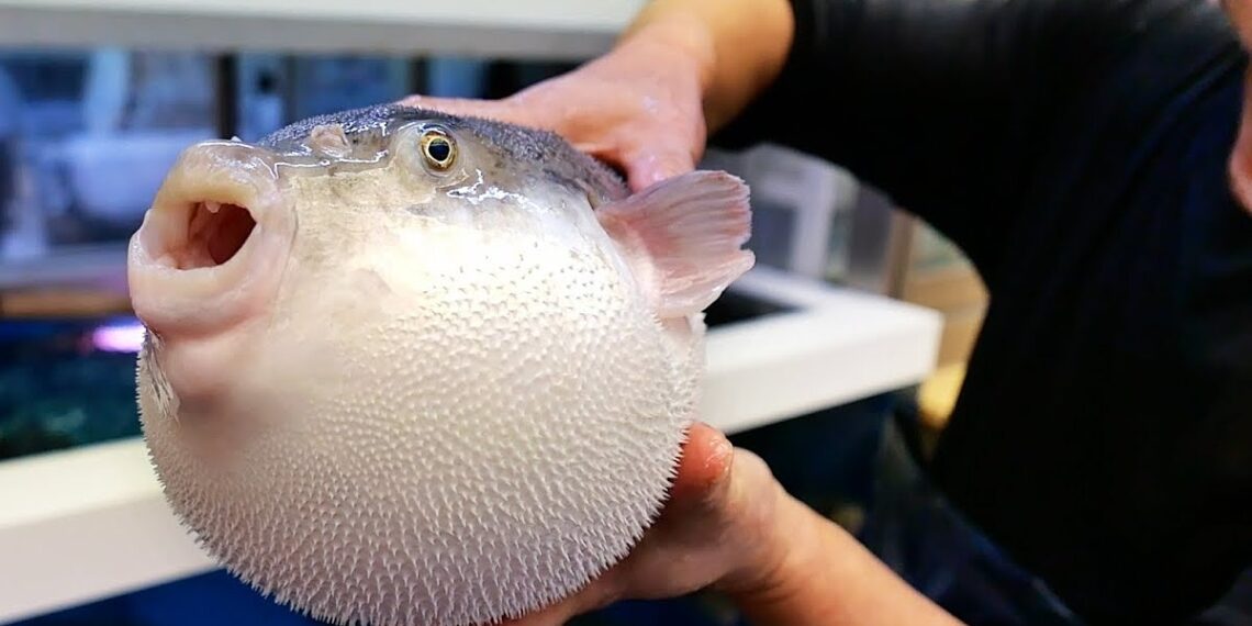 tixung31 1765266918 1765266929 4751 1765266934.jpg