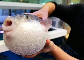 tixung31 1765266918 1765266929 4751 1765266934.jpg