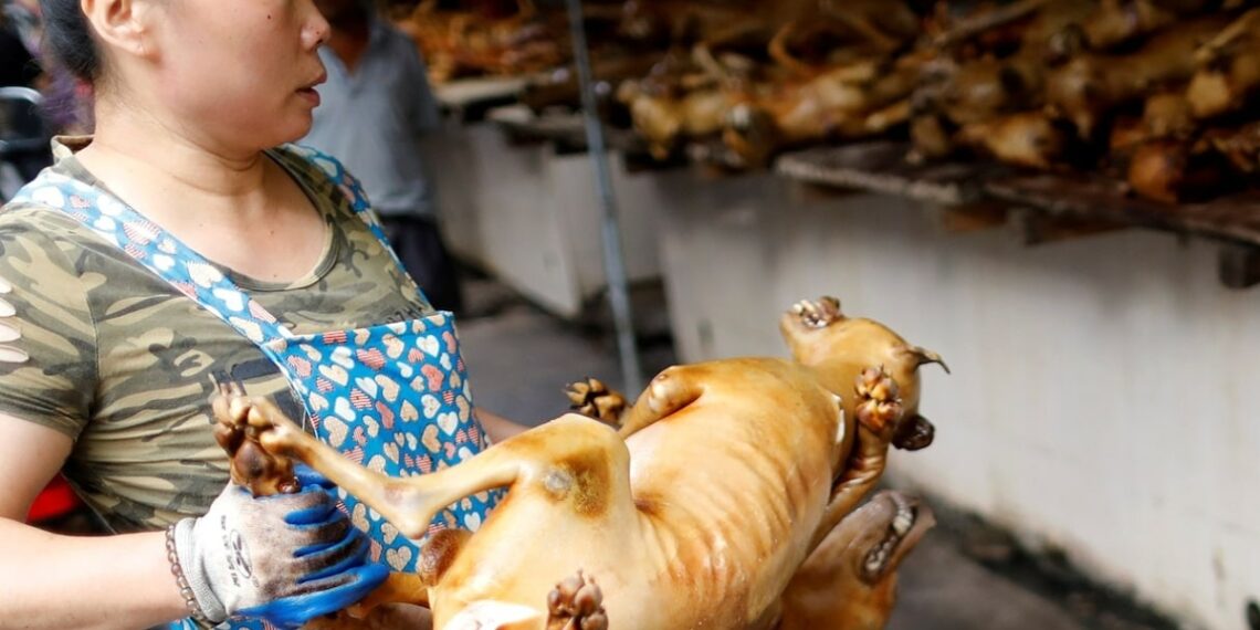 tixung46 1765715286 1765715303 4095 1765715315.jpg