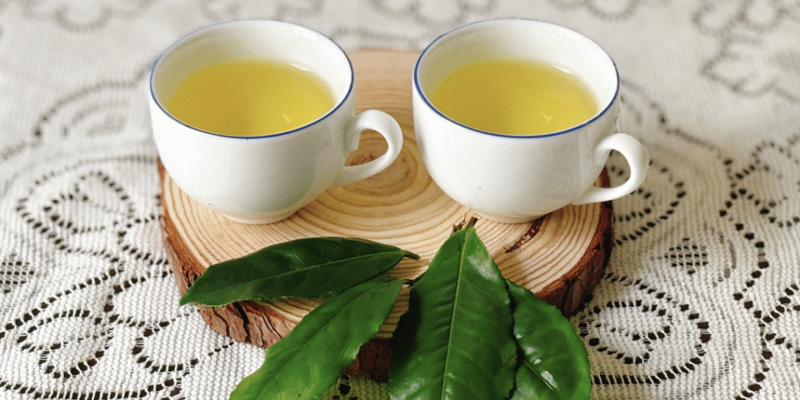 traxanh1720268454 1764574381 6326 1764574448.png