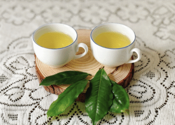 traxanh1720268454 1764574381 6326 1764574448.png