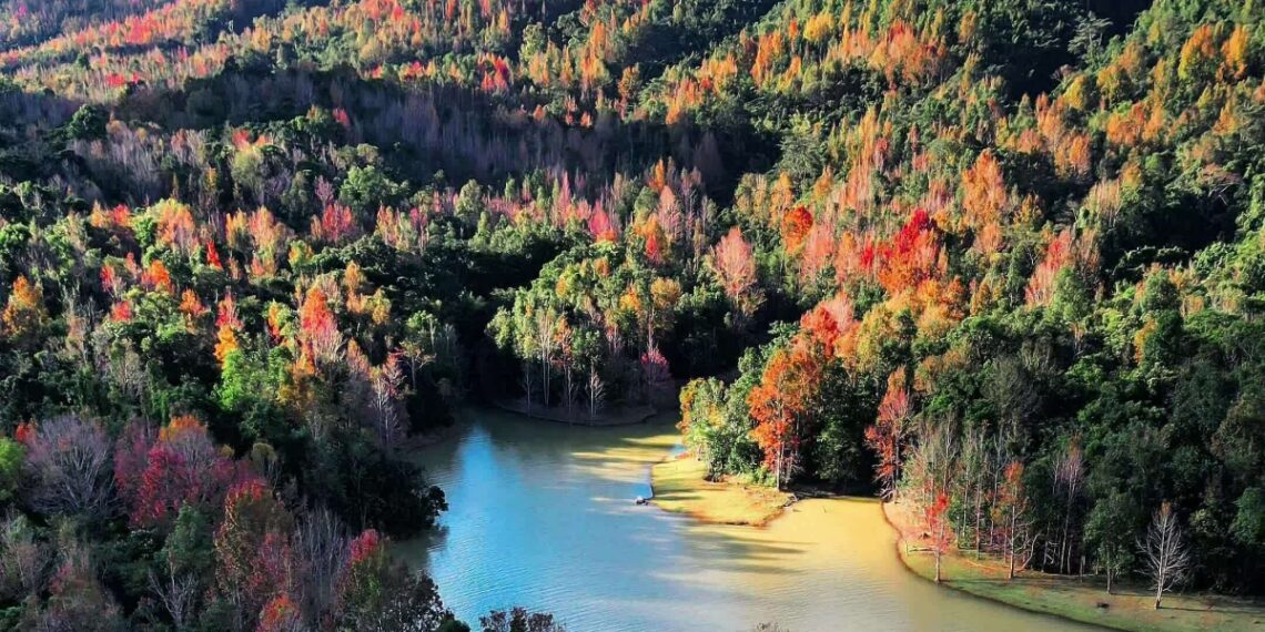 trekking ngam rung phong doi mau o quang tri 1764760734 1764836649 1764836662.jpg