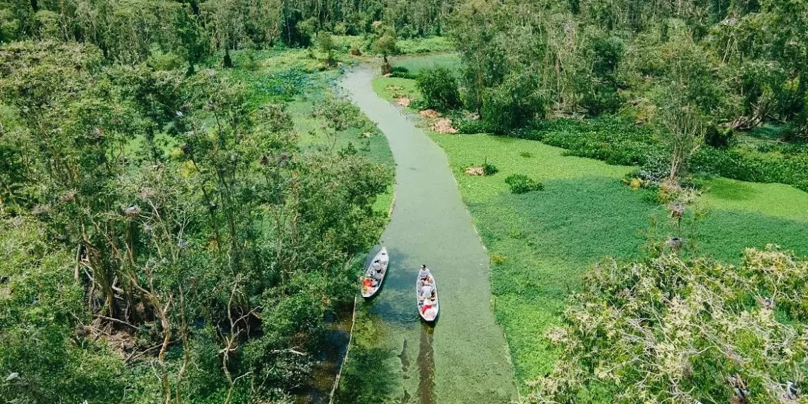 ts11 8180 1697622340 176483832 9553 4849 1764838623.webp.webp