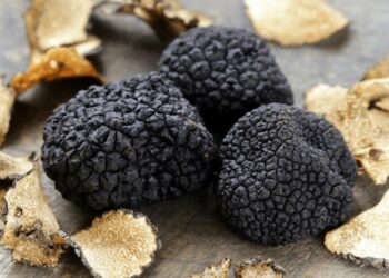 whataretrufflesandwhatdotheyta 1915 8506 1765508526.jpg