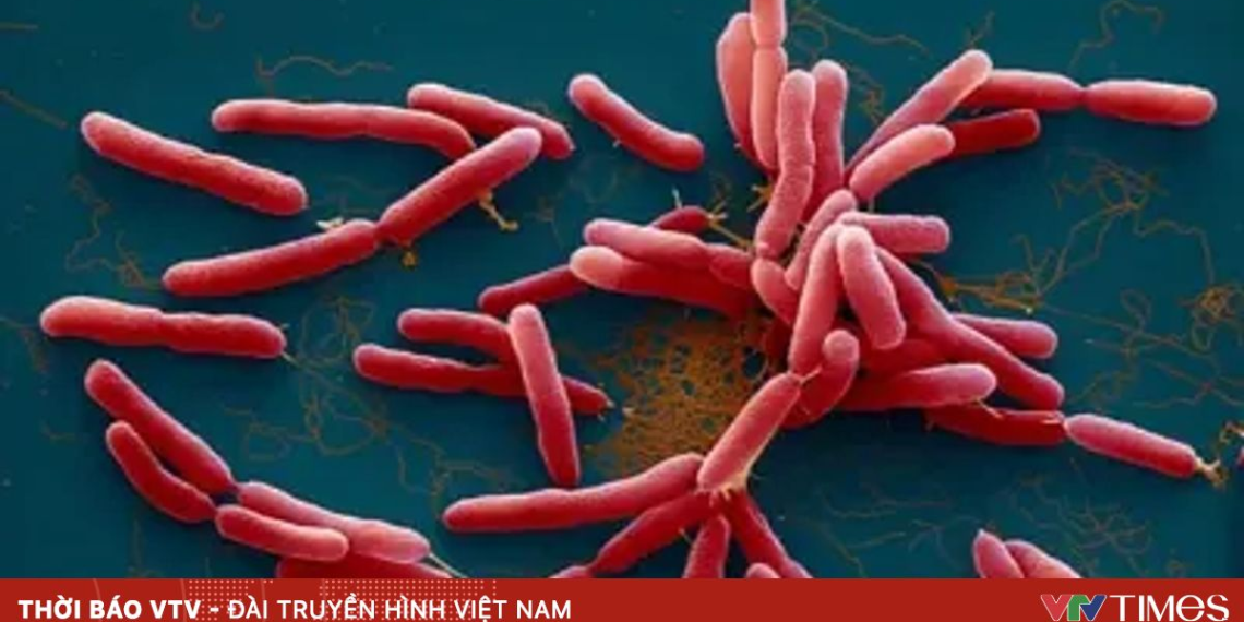 whitmore 93372820947019218835028 43896202150872621591042.png