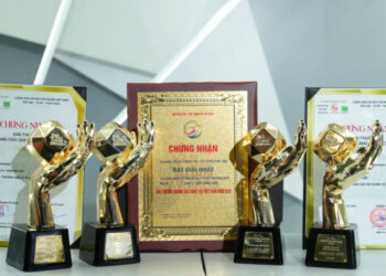 xehay vf 2312 231225 4.jpg