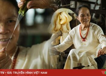 6283cb408e9501cb5884 59461268206989161929722 64998678636482765654664.jpg