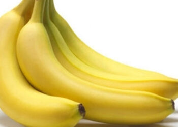 7 loai trai cay giup giai nhiet han che kho nut moi trong mua lanh 1609.jpg