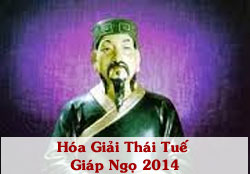 hoa giai thai tue 2014.jpg