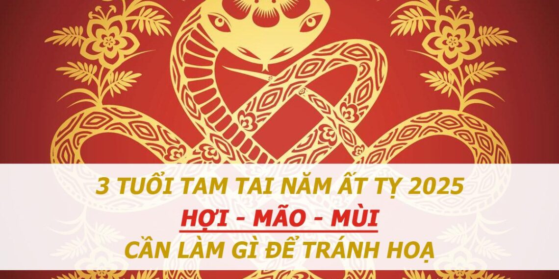 phongthuy tamtai 2025 3181.jpg