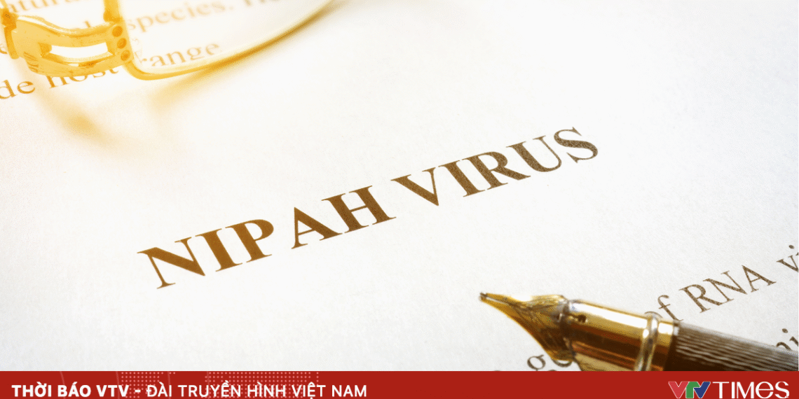 anh minh hoa 3 18996218485110738646440 38686439835636132152636.png