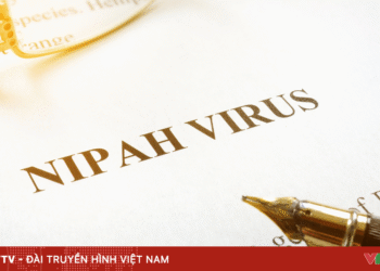 anh minh hoa 3 18996218485110738646440 38686439835636132152636.png