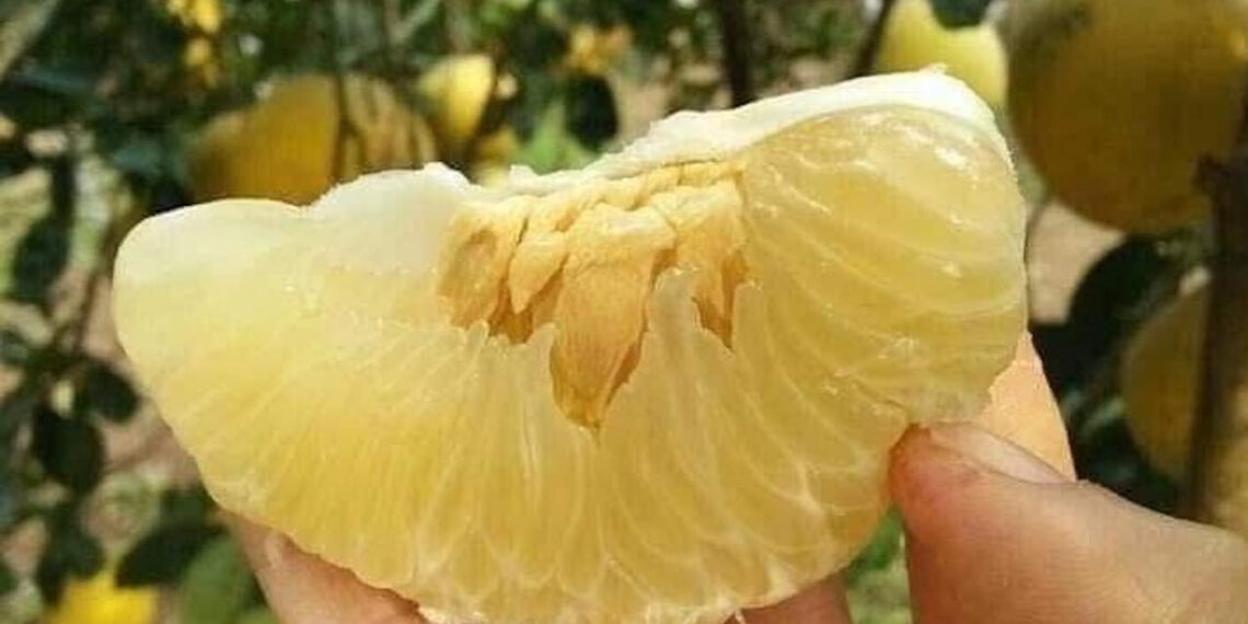 buoi giup giam can co an thay rau duoc khong 990.jpg