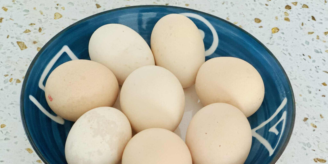 cach an trung thu duoc nhieu chat bo nhat 1097.jpg