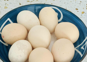 cach an trung thu duoc nhieu chat bo nhat 1097.jpg