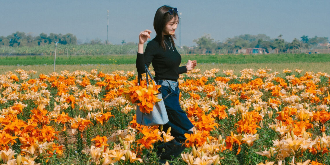 canh dong hoa ly cach ha noi 70km khoe sac khach di tu sang som toi check in 3009.jpg