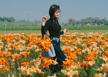 canh dong hoa ly cach ha noi 70km khoe sac khach di tu sang som toi check in 3009.jpg