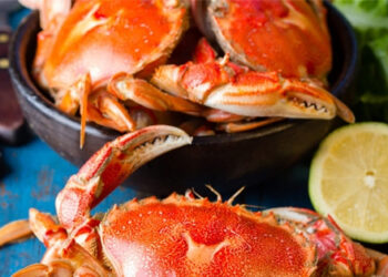 cap cuu sau khi an 2 con cua nhung ai can de phong 238.jpg