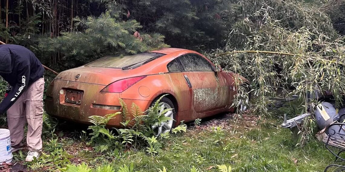 chiec xe nissan hang hiem bi bo quen phu day reu moc van duoc rao ban gia cao 538.avif.jpeg