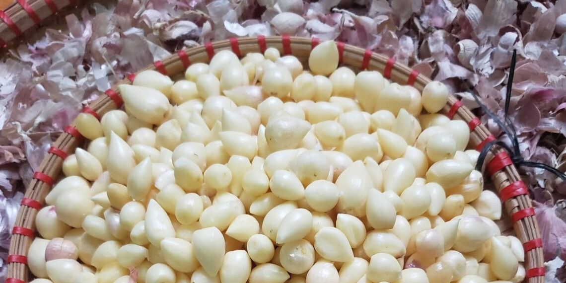 dac san duoi long dat duoc vi nhu loc troi o son la gia dat do van hut khach 3432.jpg