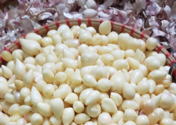 dac san duoi long dat duoc vi nhu loc troi o son la gia dat do van hut khach 3432.jpg