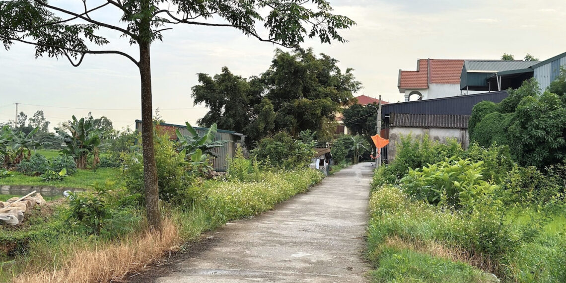 dat khai hoang tu y chuyen muc dich su dung xay nha o co duoc cap so do 1498.jpg