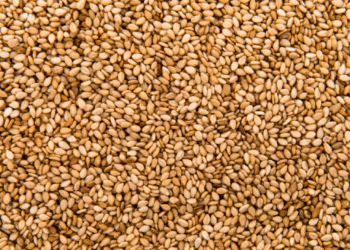 hat vung nho nhung co vo voi 5 cong dung bat ngo 2611.png