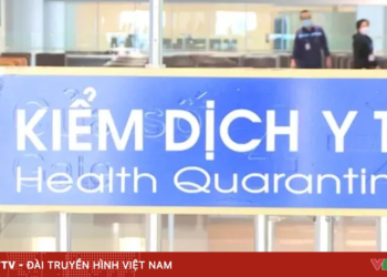 kiem dich y te 17707419891582390160410 75283135292538655015750 97293393268379803581177.png