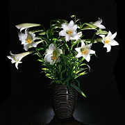 Tình Trường Đắc Ý Pháp - Thúc Đẩy Hòa Hợp Ái Tình loa ken 2.jpg