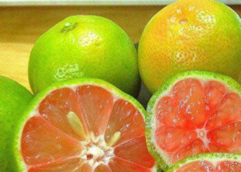 loai qua bo sung vitamin c giup giam cang thang hon ca tinh dau oai huong 2471.jpg