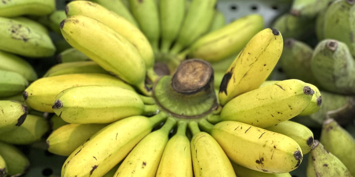 mot thay doi khi an co the dao nguoc huyet ap cao 2587.jpg