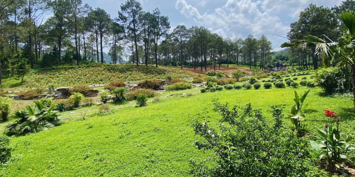 Mua đất nông nghiệp bằng giấy viết tay từ năm 2002 có được cấp sổ đỏ? mua dat nong nghiep bang giay viet tay tu nam 2002 co duoc cap so do 770.jpg