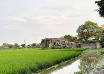 mua dat ruong bang giay viet tay xay nha tu nam 1992 co duoc cap so do 305.jpg