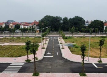 mua dat trung dau gia da co so do van lo rui ro phap ly 3360.jpg