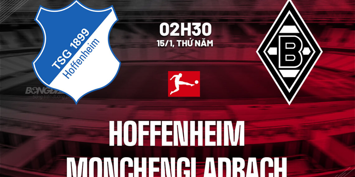 nhan dinh bong da du doan hoffenheim vs monchengladbach vdqg duc bundesliga hom nay 0601071158.jpg