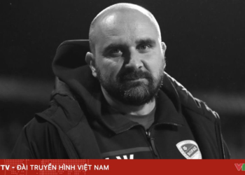 package media 18689945169900499330944 01728500240533704278758.png