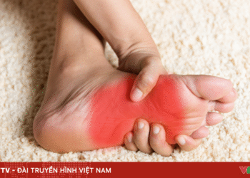 package media 75653565369149975893132 24965814508491719816831.png