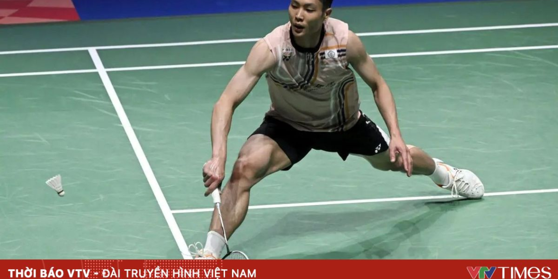 package media 82361689181036726694338 40155998193572603516185.png