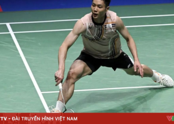 package media 82361689181036726694338 40155998193572603516185.png