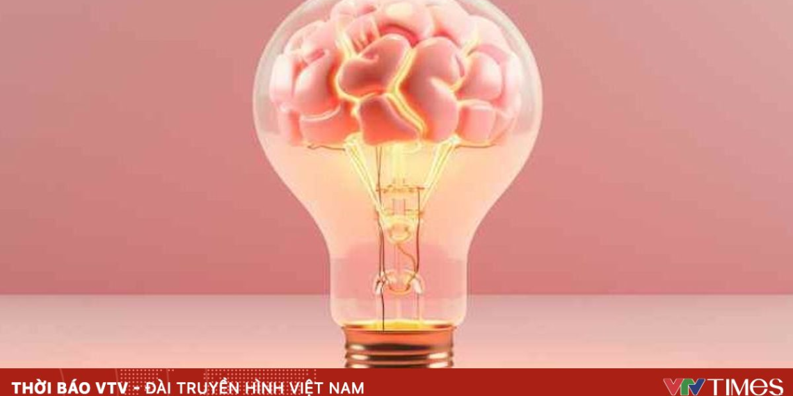 package media 95166065389611202633521 54202917043282210872905.png