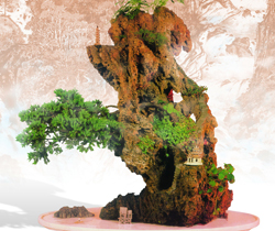 phongthuy com vn bonsai.jpg