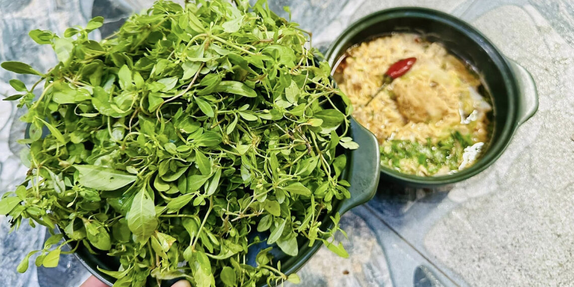 rau troi ban co tu nam ra bac vi dang la an cung chao ca loc rat ngon 2143.jpg