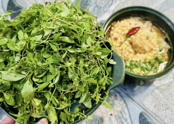 rau troi ban co tu nam ra bac vi dang la an cung chao ca loc rat ngon 2143.jpg