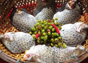 san vat troi ban o mien tay an ngot thit nau canh hay kho deu ton com 3320.png