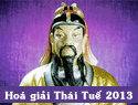 thaitue2013 hoagiai.gif
